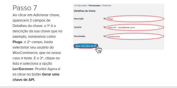 Chaves Consumer Key e Consumer Secret geradas pelo WooCommerce